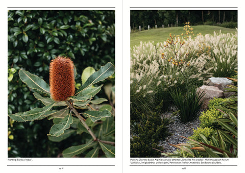 NATIVE PLANT INDEX