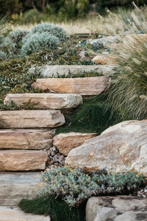 Natural stone steps leading through a garden with grass and plants