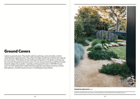 NATIVE PLANT INDEX