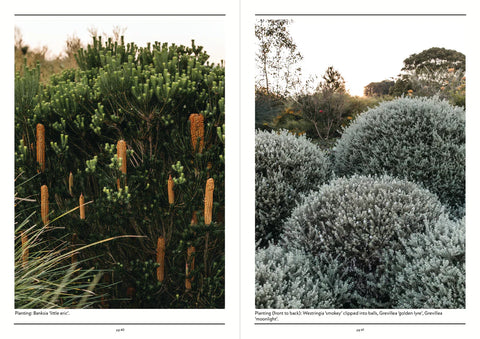 NATIVE PLANT INDEX