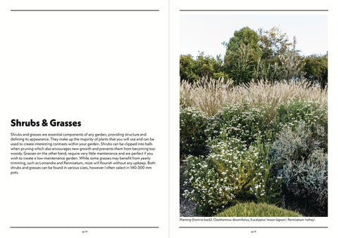 NATIVE PLANT INDEX